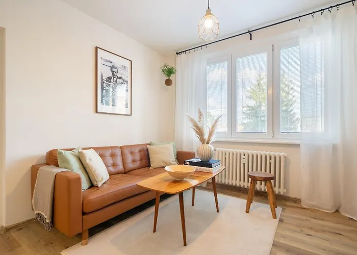 Apartment Stylish Retro *